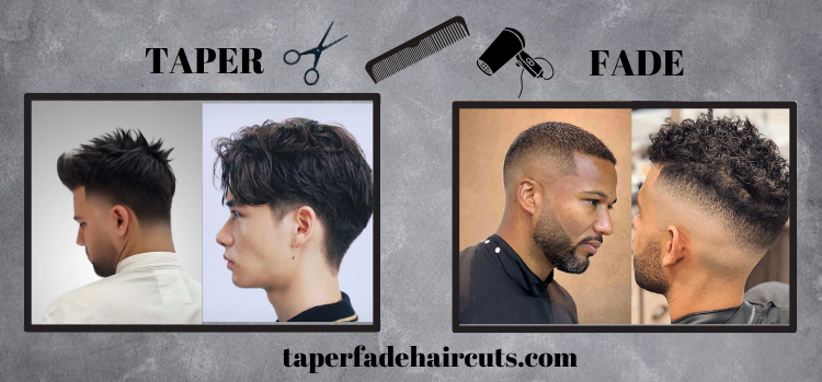 taper vs fade