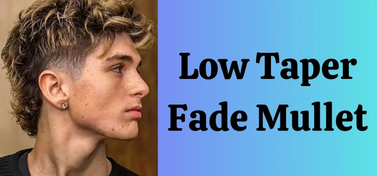 Low Taper Fade Mullet