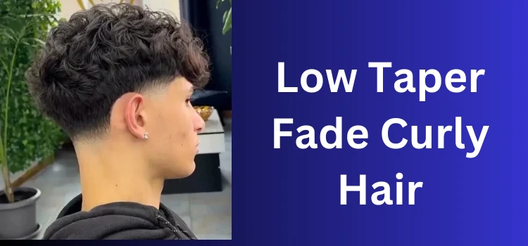 Low Taper Fade Curly Hair