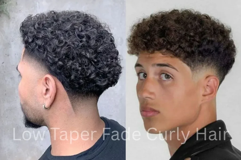 Low Taper Fade Curly Hair